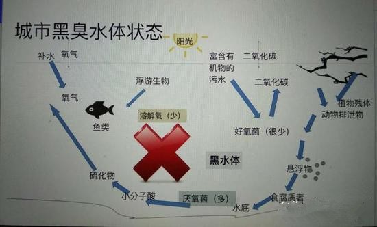 江蘇億元投資治污新技術(shù) 石墨烯能否治理黑臭水體？