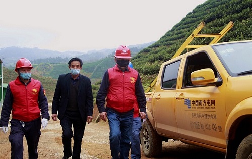 平塘供電局：“加減法”同構服務，護航“貴州春茶第一壺”