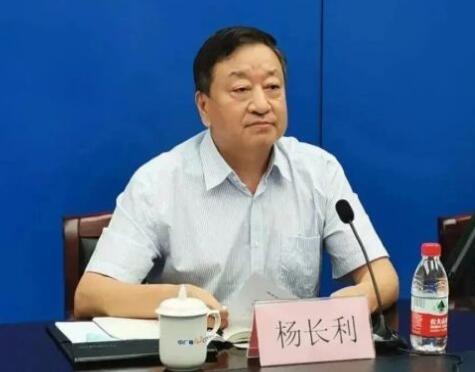 任職總經(jīng)理半年后，楊長利任中廣核董事長