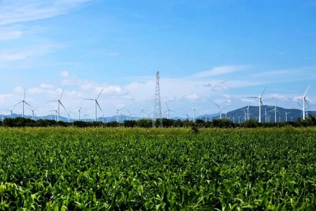 收購墨西哥818MW光伏電站，國家電投境外光伏電站裝機(jī)超6GW