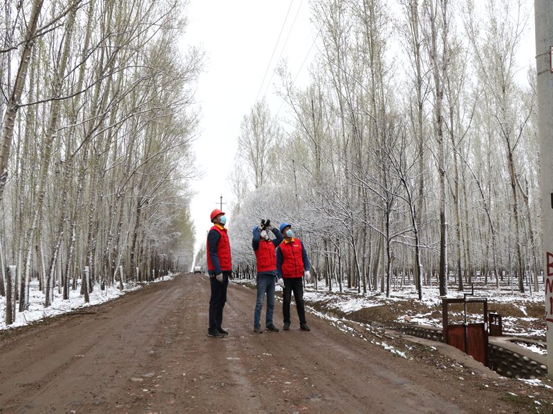 國(guó)網(wǎng)伊犁伊河供電公司四月飛雪，電力員工巡視線路保供電