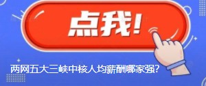 國網(wǎng)南網(wǎng)華能大唐國家能源三峽中核人均薪酬哪家強？