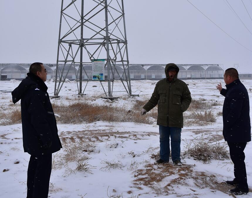 二連浩特供電公司：開展客戶側(cè)安全檢查，確?？诎犊蛻粝楹兔髁吝^春節(jié)
