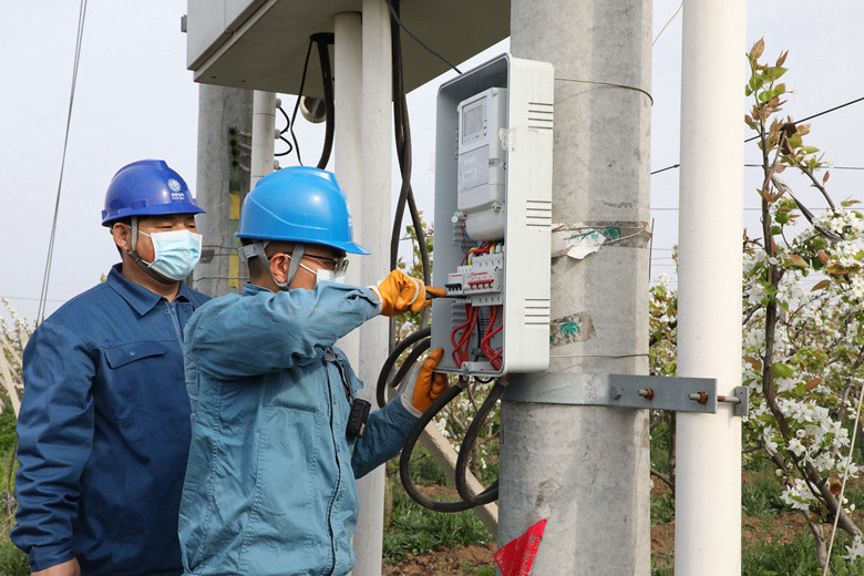 國網(wǎng)諸城市供電公司電力足，千畝梨園花正濃
