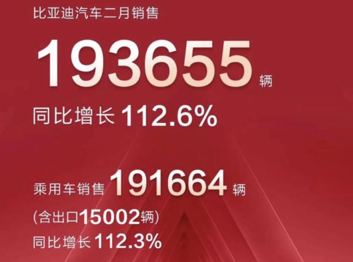 2月新能源車(chē)企成績(jī)單出爐，比亞迪一騎絕塵
