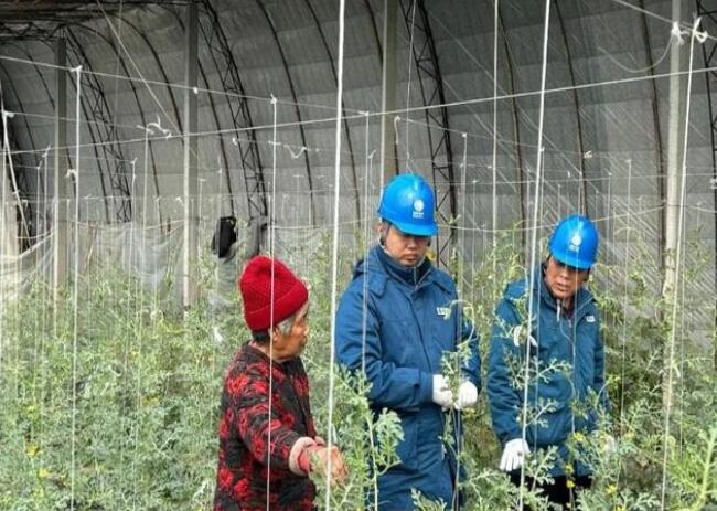 山東惠民供電公司：走訪種植大棚，優(yōu)化農(nóng)業(yè)營(yíng)商環(huán)境
