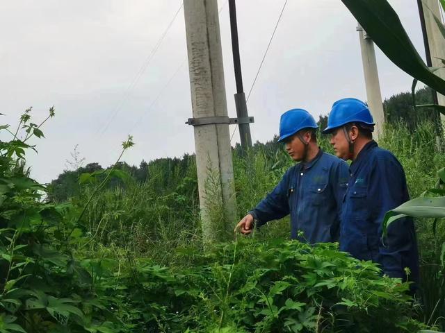 國網(wǎng)長春供電公司積極應(yīng)對極端天氣，確保線路設(shè)備穩(wěn)定運(yùn)行