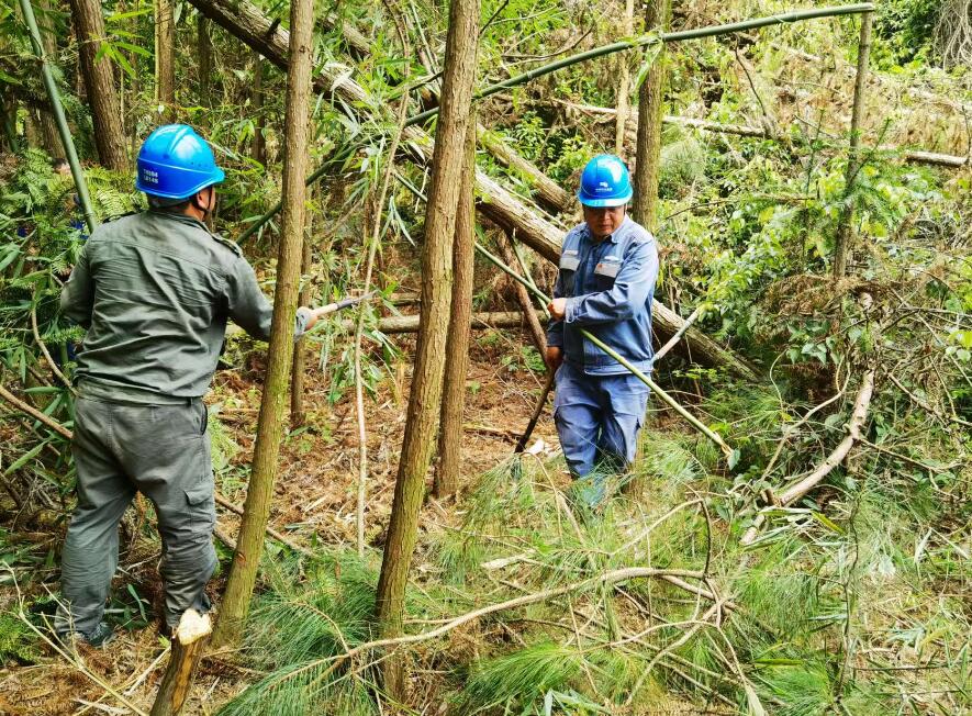 南方電網(wǎng)荔波供電局線路憂患如“猛獸”，通道清通要爭先