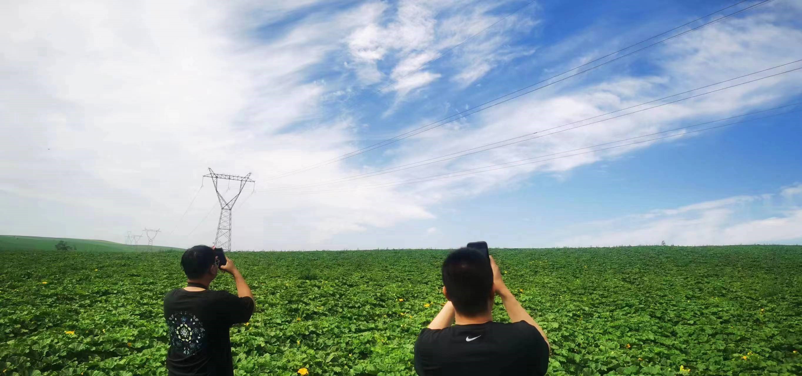 四子王輸變電管理處：防外力破壞，助安全運行