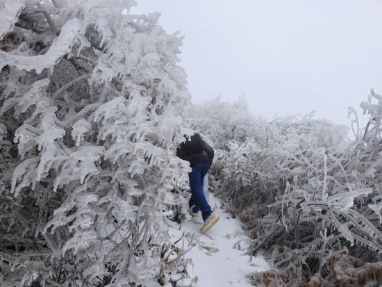 【新春走基層】迎雪而上攻堅行，奮戰(zhàn)不息護光明