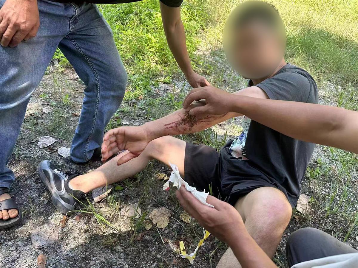 男子私設(shè)電網(wǎng)30余米，沒捕獲獵物卻電傷路人被刑拘