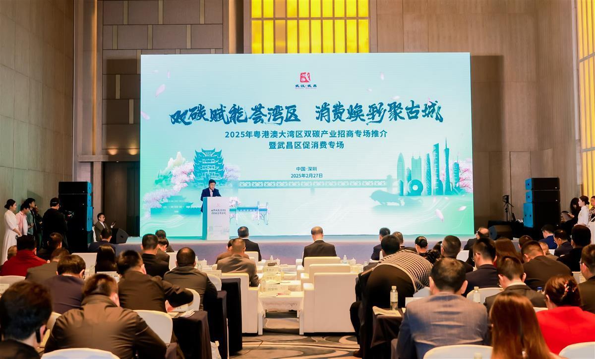南下大灣區(qū)引來百億“綠色”項目，堅持為碳排放“買單”成新風(fēng)氣