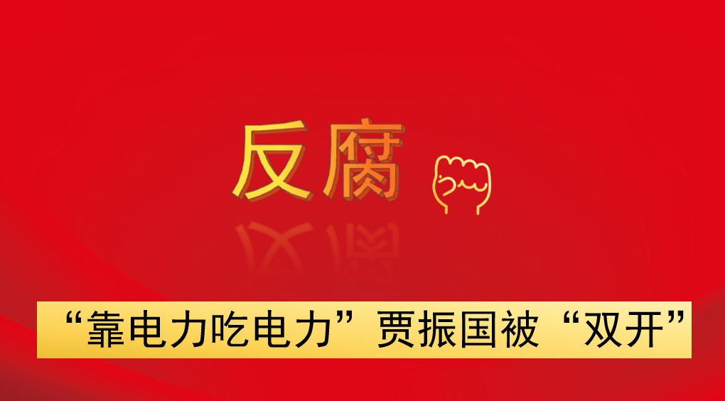 “靠電力吃電力”  賈振國(guó)被“雙開”